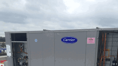 carrier box Photo